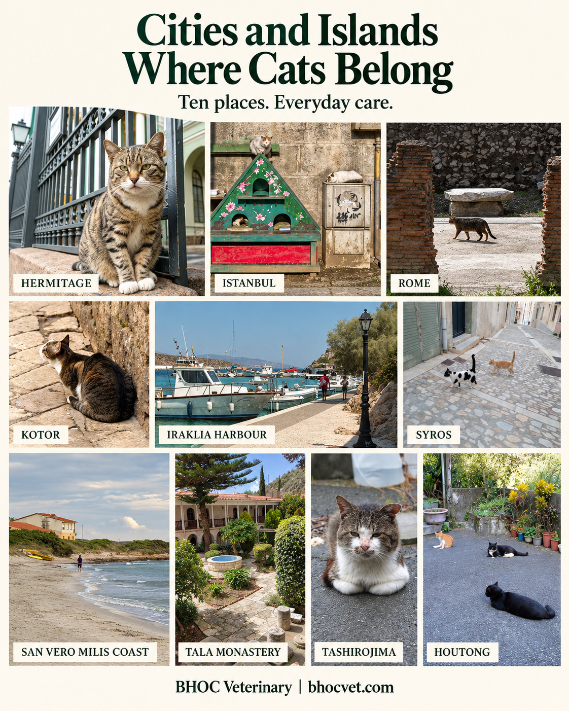 Collage of cats from the Hermitage, Istanbul, Rome, Kotor, Syros, Tashirojima and Houtong, with views of Iraklia harbour, the San Vero Milis coast and Tala monastery. Title: Cities and Islands Where Cats Belong.