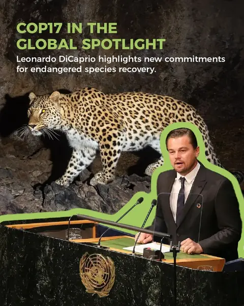 COP17 Armenia graphic showing a leopard and Leonardo DiCaprio, highlighting new commitments for endangered species recovery.