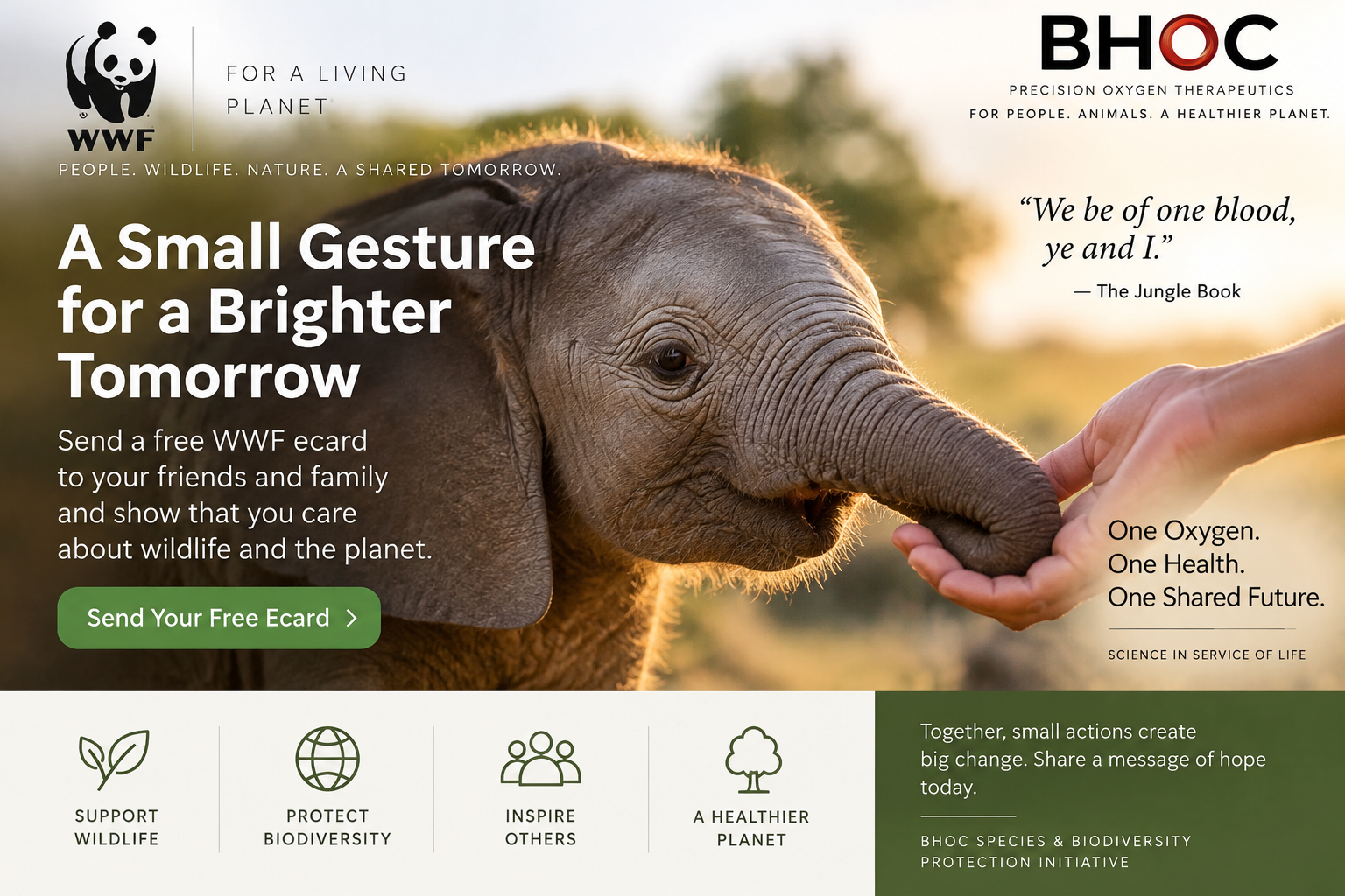 Baby elephant resting its trunk in a person's hands on a card inviting readers to send a free WWF ecard, with WWF and BHOC branding.